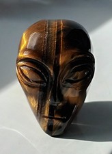Tigers Eye Polished Alien Head ET Head Star Being 4cm high 71g