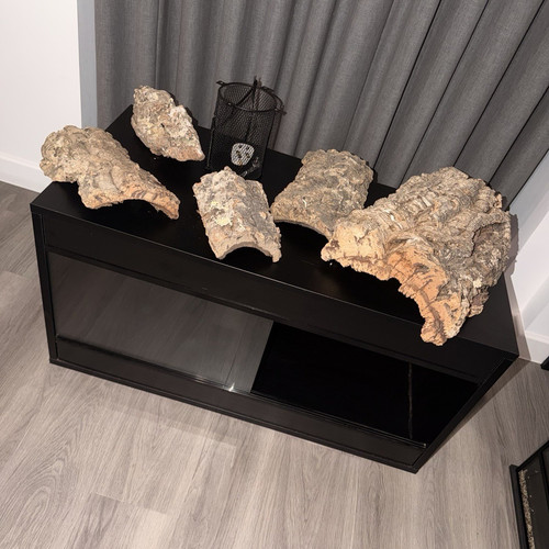 3ft habistat viv with - , bulb