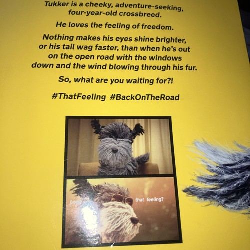 Tukker the 2020 crossbreed - 2020,