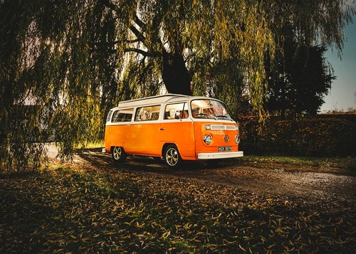 Camper bay window 1974 - camper,
