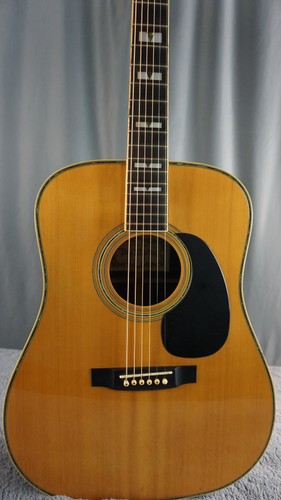 Pro martin 250 vintage - pro, mij