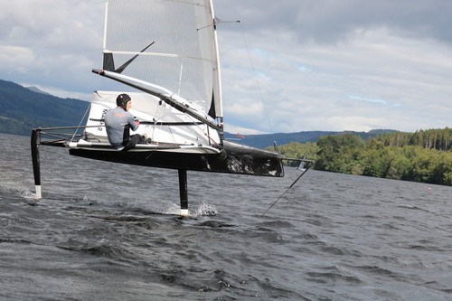International foiling moth - international,