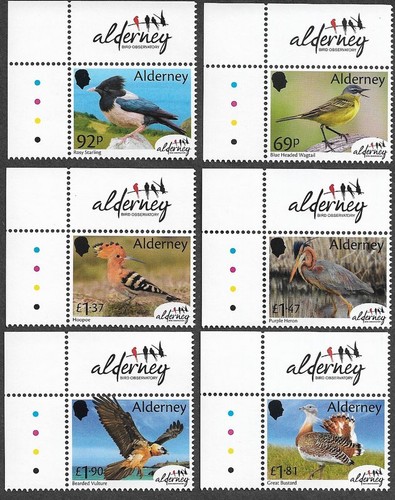 Alderney birds observatory - birds,