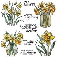 Daffodils flowers vase - vase, kind