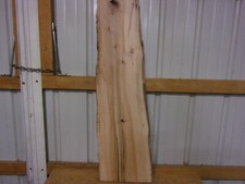 1 PC RUSTIC BEECH SLAB KILN