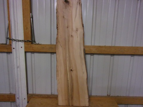 Rustic beech slab - 1, pc