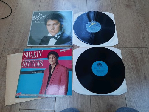 Shakin stevens and the - shakin',