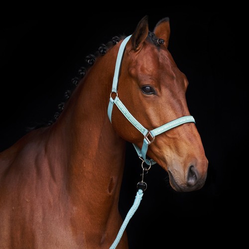 Polo halter hvpnena - hvpnena, aqua