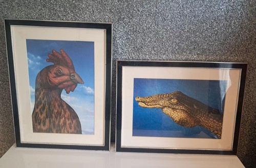 Cool unusual framed hidden - framed,