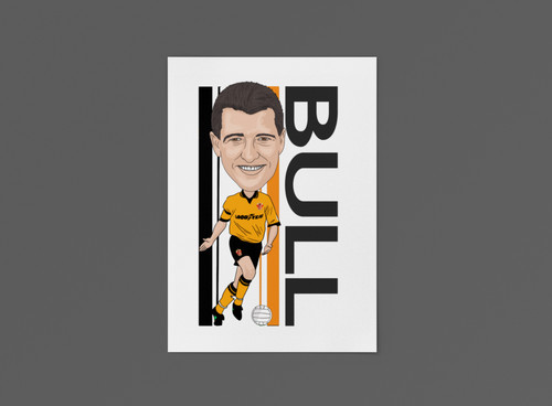 Steve bull wolverhampton - bull,