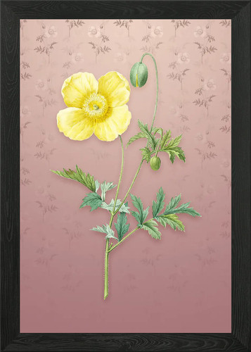Vintage welsh poppy framed - welsh,