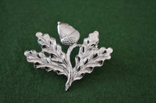 The nottinghamshire yeomanry - nottinghamshire,