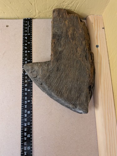 102 shaped flat driftwood - #102,