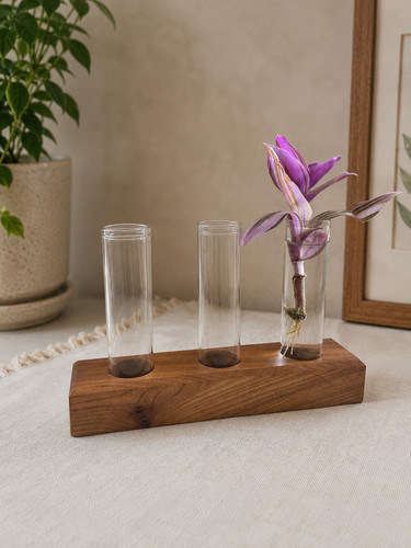 Wooden propagation stand with - propagation,