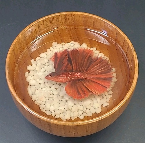 Unique resin art red betta - unique,