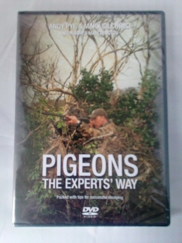 Pigeons the experts - experts, way