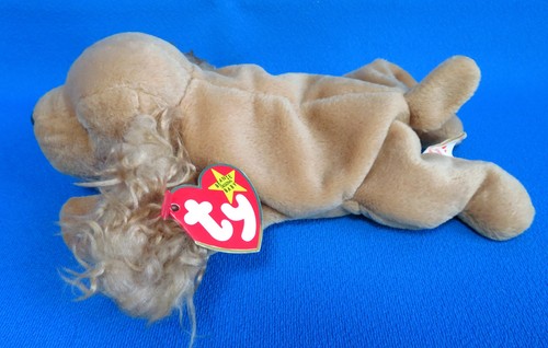 Cocker spaniel puppy - spaniel, *