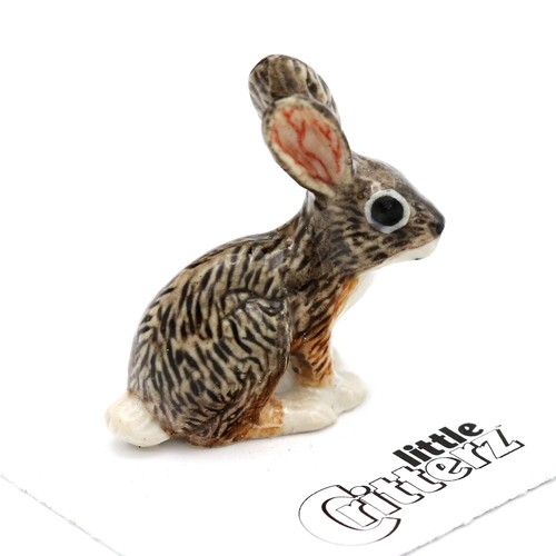 Little critterz rabbit - little,