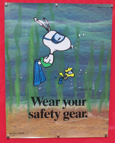 Wear your safety gear snoopy - !,