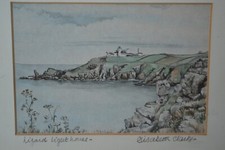 Rare Elisabeth Clarke Lizard