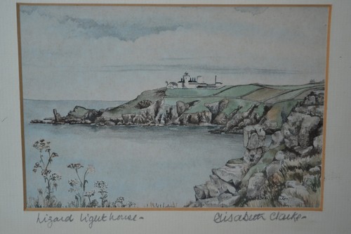 Rare elisabeth clarke lizard - clarke,