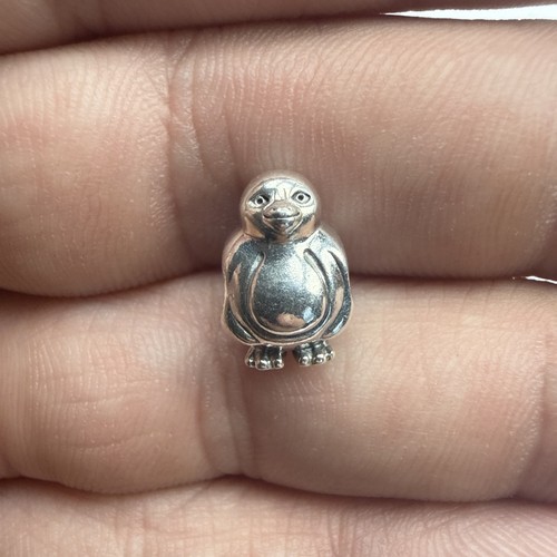 Authentic pandora sterling - authentic,