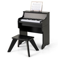 Educational Music Instrument