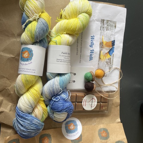 Luxury hand dyed yarn - hand, sw
