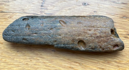 Fossilised whale bone with - fossilised,