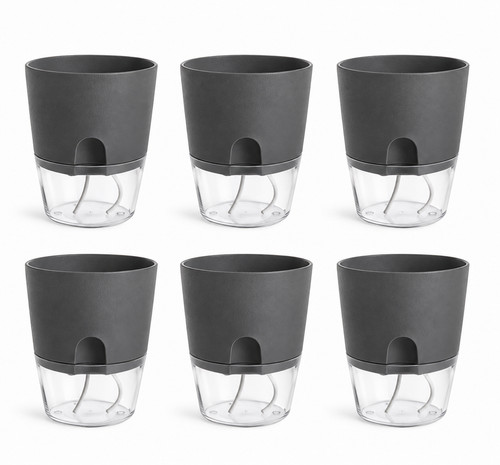 Self watering plant - 6x,