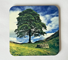 Sycamore Gap Tree Drinks Coasters Wood Cork Backed for Tea & Coffee