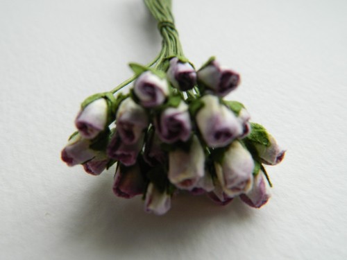 Mulberry paper rose - paper, buds
