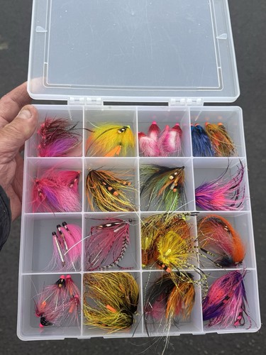 Pink linda salmon - salmon, tube