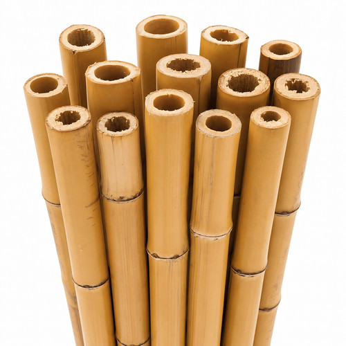 2ft 6ft long bamboo - 6ft,