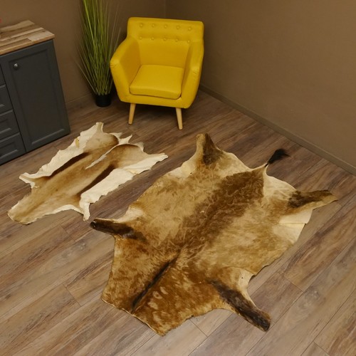 Antelope hides for - 2x,