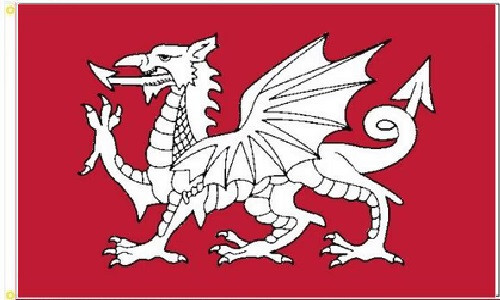 English white dragon flag x - flag,