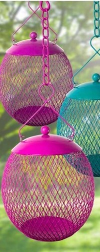 Endarius squirrel proof bird - -squirrel,