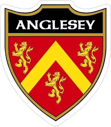 Anglesey shield flag - 3,