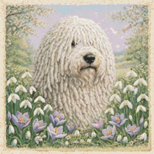Komondor puppy dog spring - puppy, in