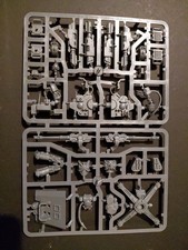 Warhammer 40k Space Marines