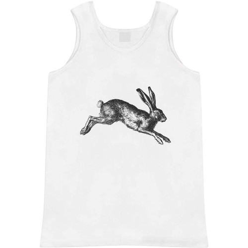 Hare rabbit jumping - 'hare, adult