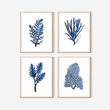 Coastal blue and - and, white