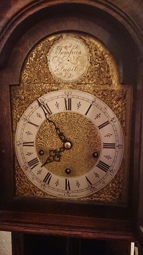 Tempus fugit grandmother clock - tempus,