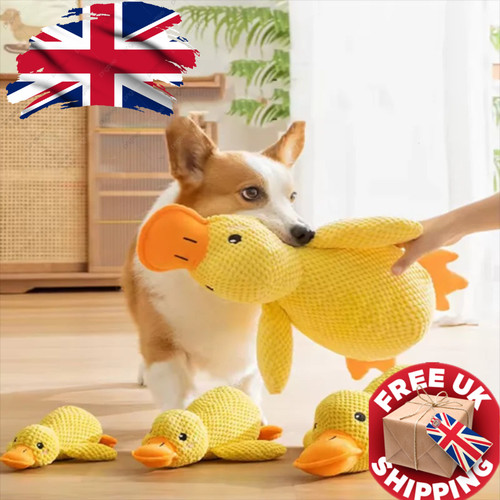 Dog hug duck toy plush - duck, for