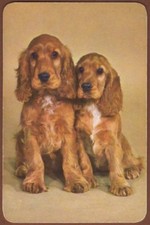 Playing Cards Single Card Old Vintage * COCKER SPANIEL PUPPY DOGS * Art Picture 