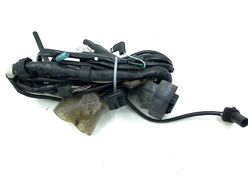 Wiring harness front - harness,