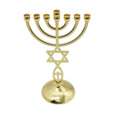 Traditional Jewish Menorah 7