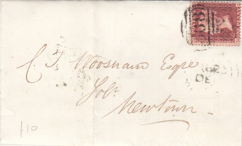 Red stars cover with - red,