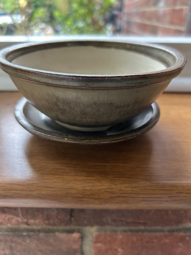 Glazed bonsai dish and saucer - bonsai,