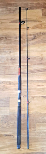Spinning fishing rod - rod, 2